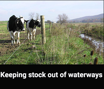 Stock in waterways CI image