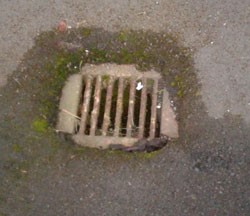 Photo of a sump drain